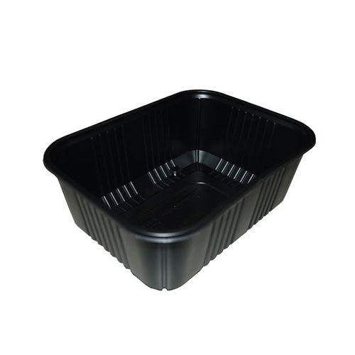 PP Tray Enterpack 600cc