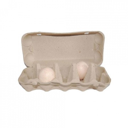 Eierdoos JUMBO voor 10 eieren